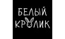 Белый Кролик